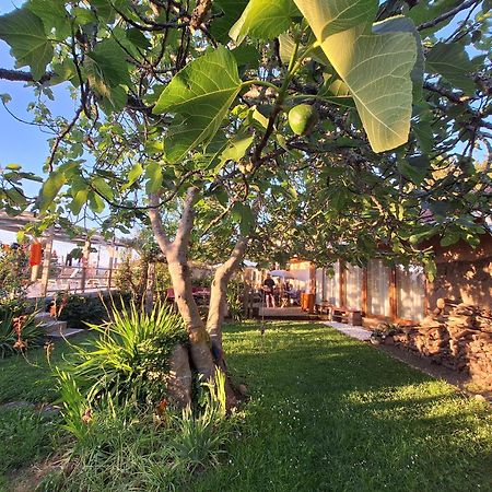 Pilgrims Rest - Vila Nova De Cerveira - Hostel - Albergue - Al Eksteriør bilde