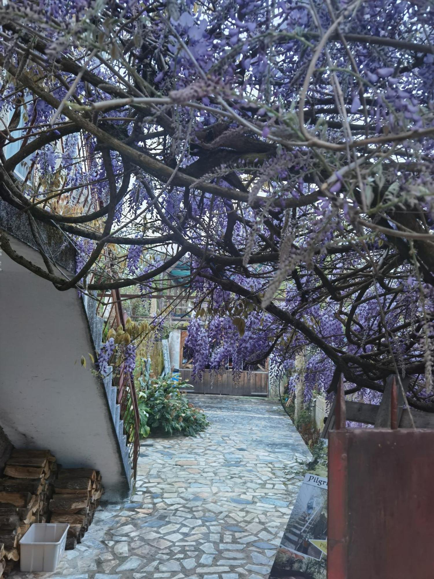 Pilgrims Rest - Vila Nova De Cerveira - Hostel - Albergue - Al Eksteriør bilde